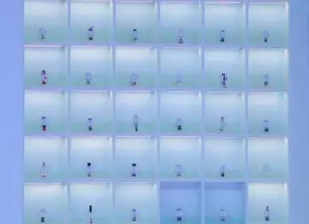 明星get同款化妆品,大s的美妆节目停播了吗