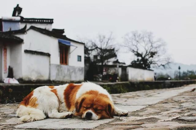 安徽的颜值为什么这么高,安徽的大美风光