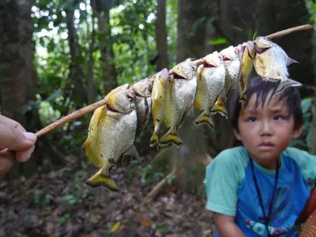 他叫辛巴,不是狮子王,8岁穿越12国:最好的教育,永远在路上