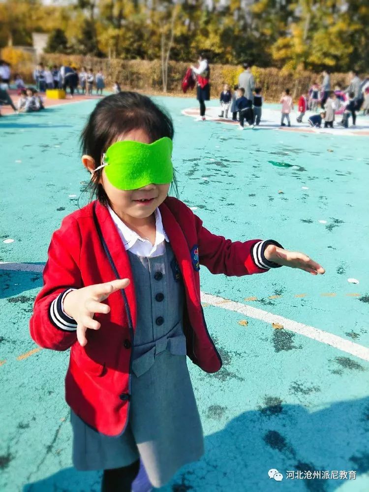 身体大揭秘动画,身体大揭秘