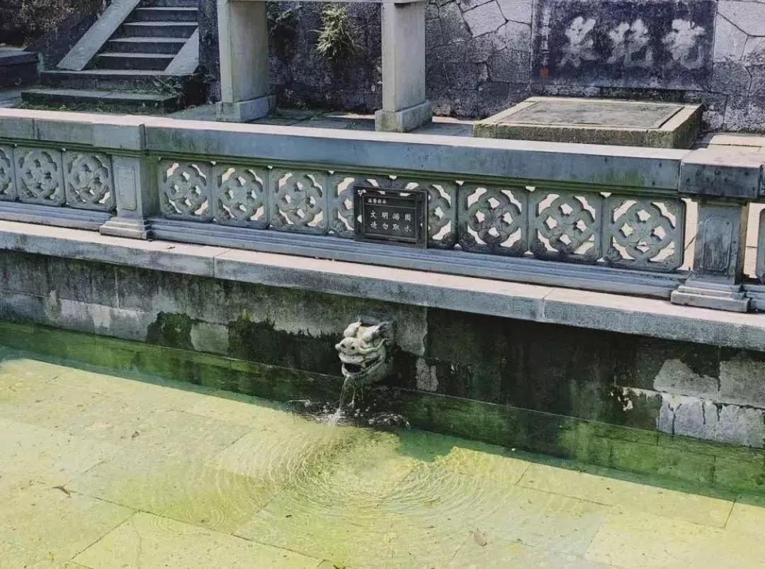 只有早起的老杭州才知道的秘密福利，西湖的绝佳搭档