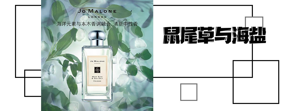 好闻又高级回头率超高的香水,香味持久的小众平价香水有哪些