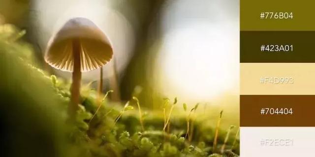 999张照片模板,999999999的创意图片