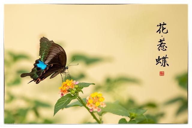 梅雨季节怎么防止发霉,梅雨天气室内怎样防霉