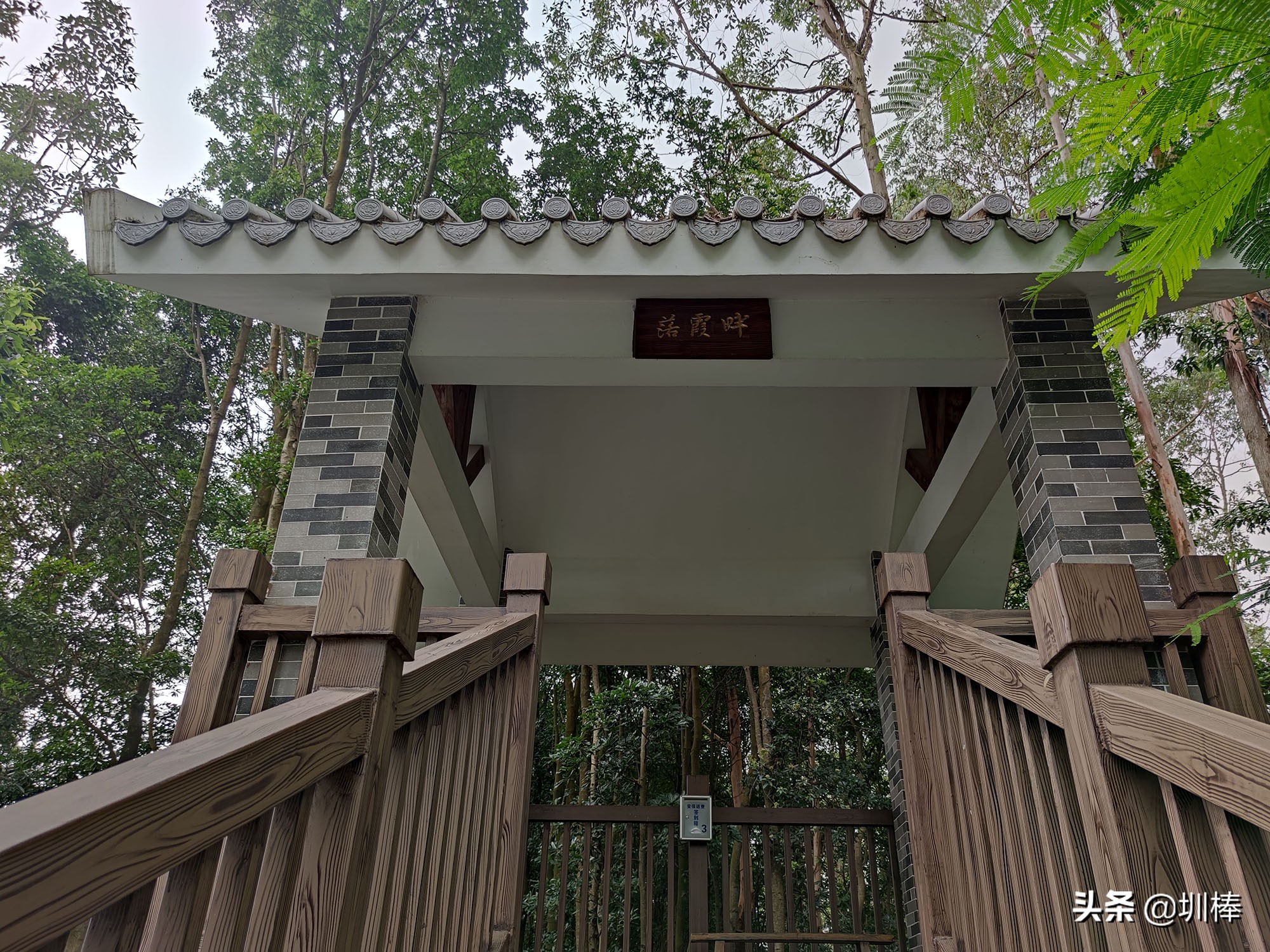 深圳最长的海岸线爬山攻略,凤凰山适合老人孩子的爬山攻略