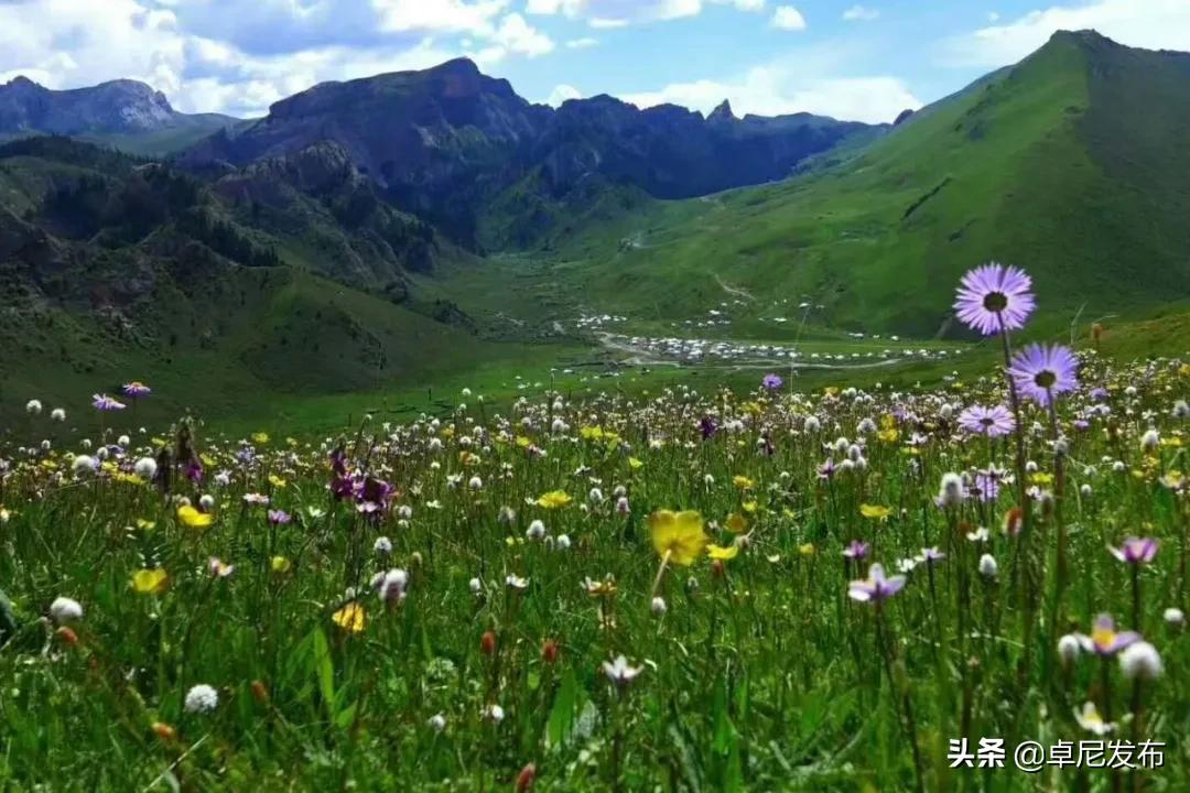 甯呮皵闃垮崜,鏃╂湡闃垮崜