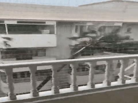 微胖渐欲迷人眼分分钟缴械投降的动态图