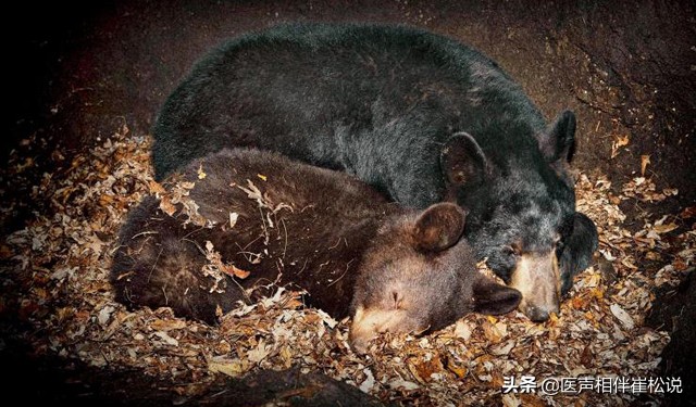 感冒引起的发烧有几个特点,感冒为什么会发高烧就好了