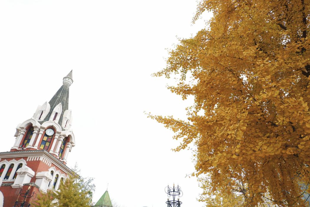 美过三亚!比厦门浪漫!中国这座海滨老城,去一次相当环游世界!