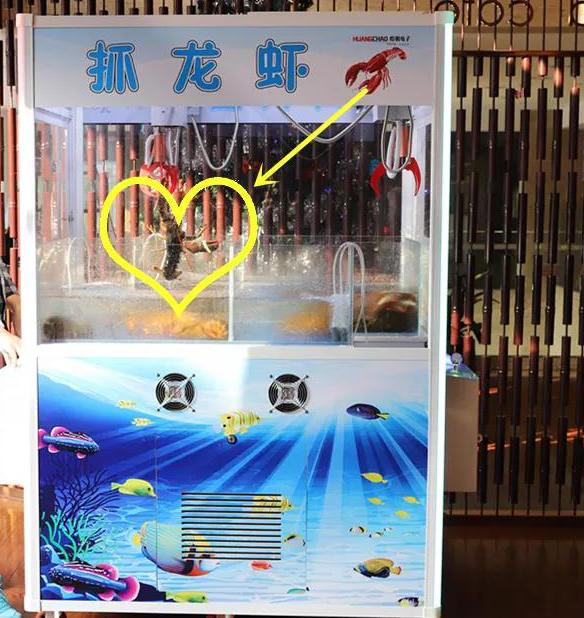 君豪国际大酒店餐厅,广州君豪酒店自助餐