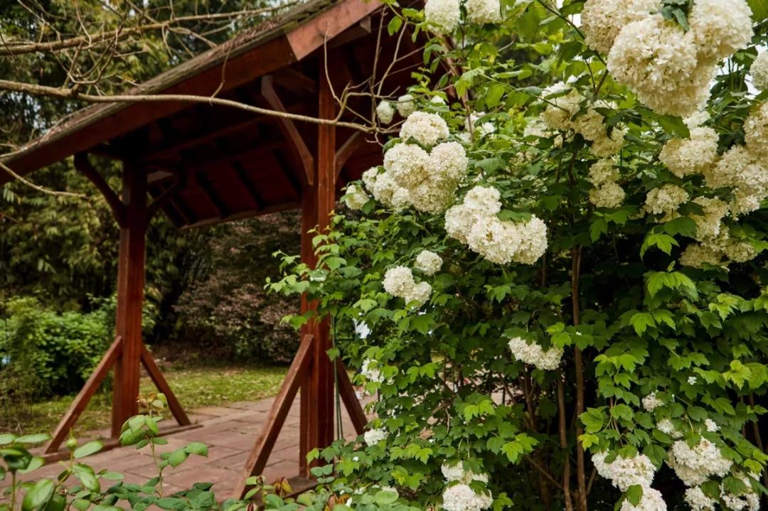 成都石象湖国家级生态园,成都石象湖风景区