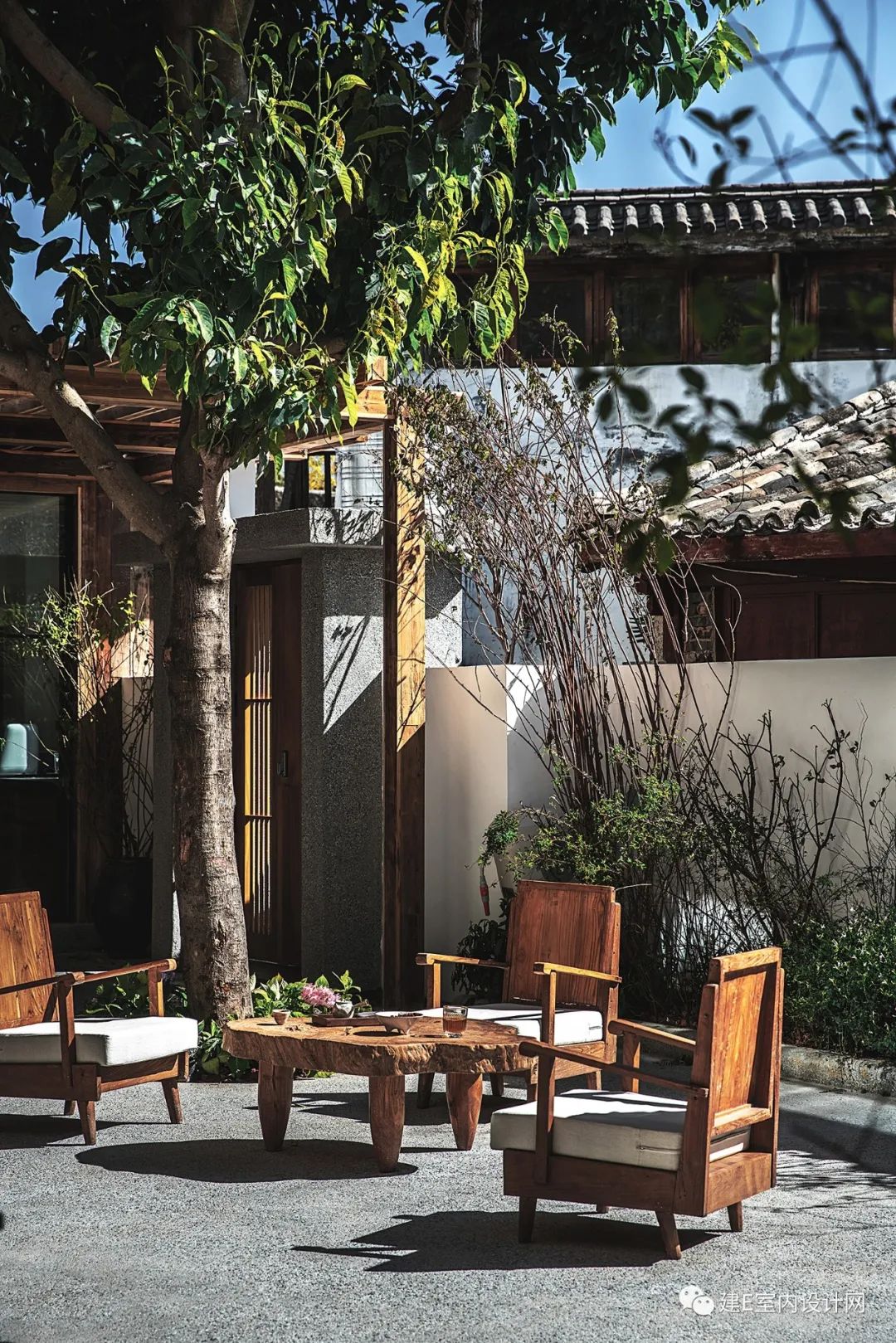 乘风破浪谢柯,谢柯个人简历