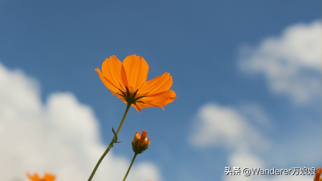 初中语文教师资格证面试如何备考,零基础初中教师资格证备考要多久