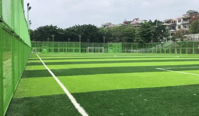 东莞石龙新体育馆,2022年石龙体育馆