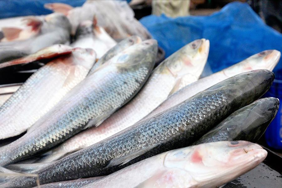 印度和孟加拉国的美食,孟加拉国有什么美食