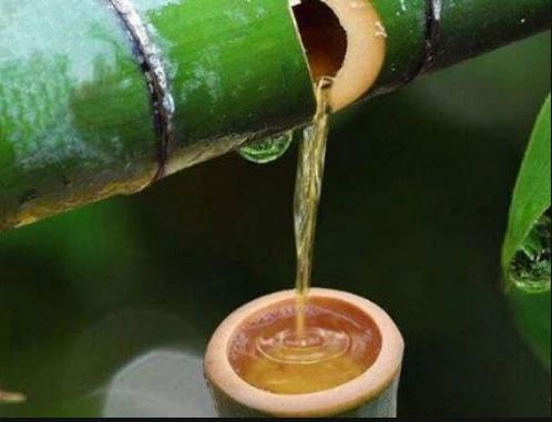 网红竹子酒是骗局吗,揭秘竹酒骗局