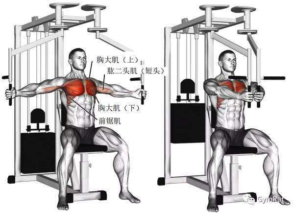 健身器械夹胸机如何使用,健身一体式器械夹胸