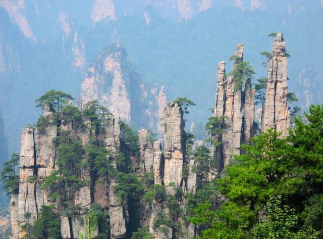 期货高手纯技术操作中长线心得,期货大局观