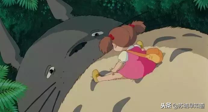 周末喵力四射！国际品猫汇，来吸猫！卢米埃影城18元看龙猫！