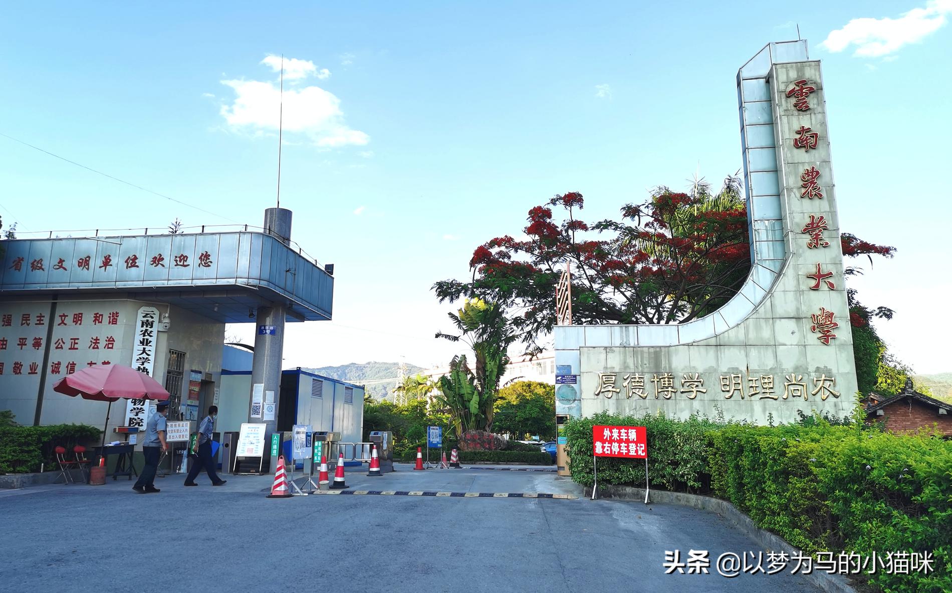 西南最低调的211大学,西南地区值得报考的大学