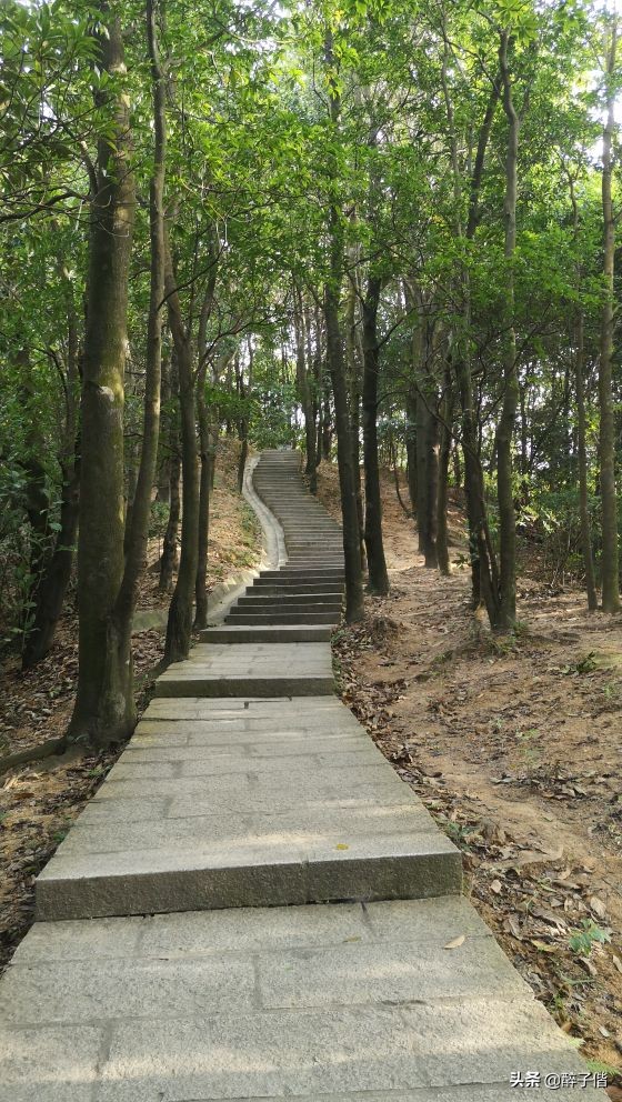 深圳大羊台风景,深圳阳台山看日落