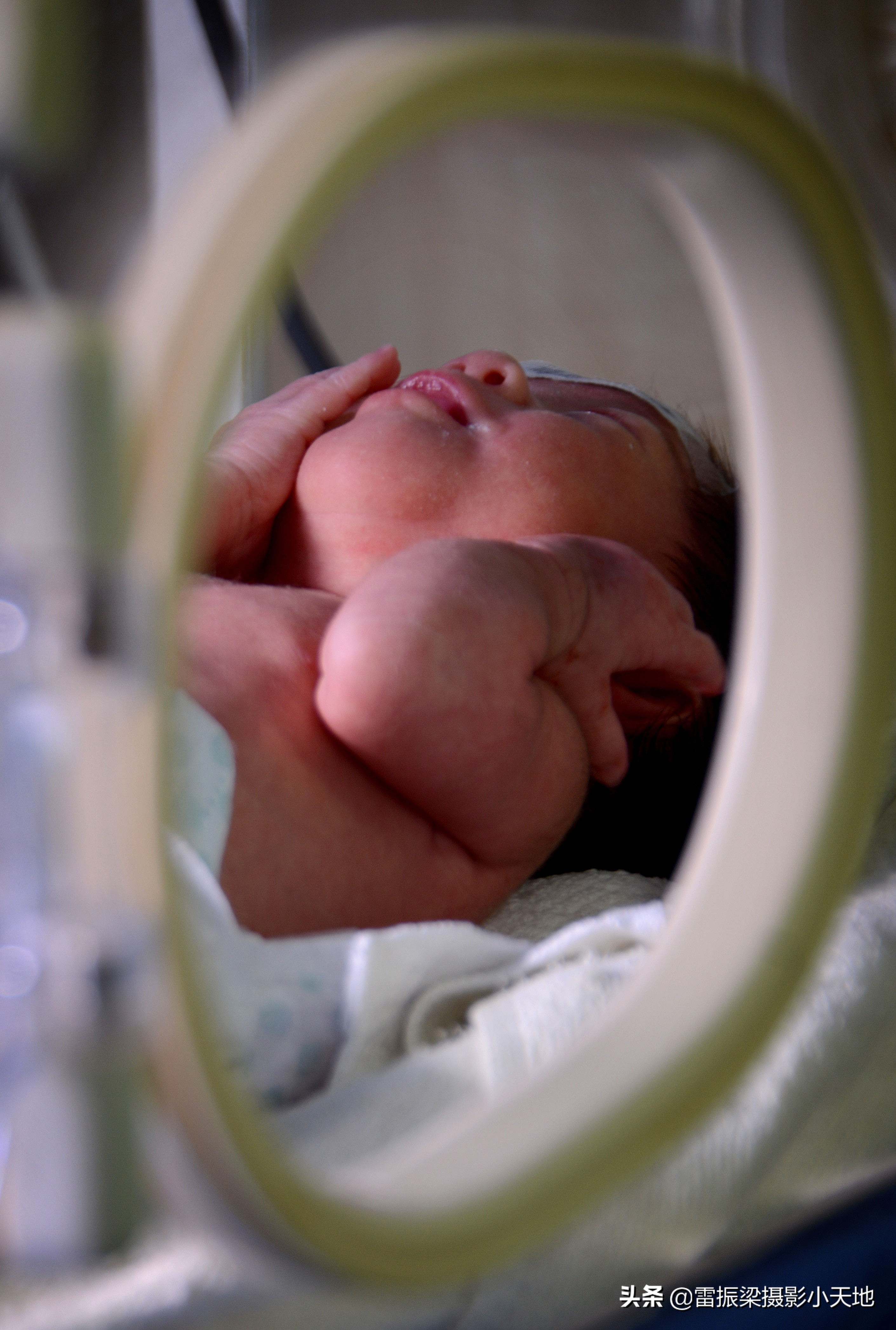 新生儿的温馨港湾：新生婴儿的摇篮摇啊摇，新生婴儿的妈咪乐啊乐