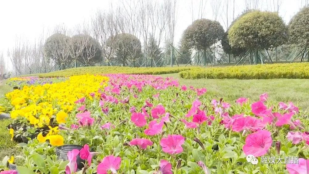 西安公园南路绿化提升,西安市团结村改造规划图