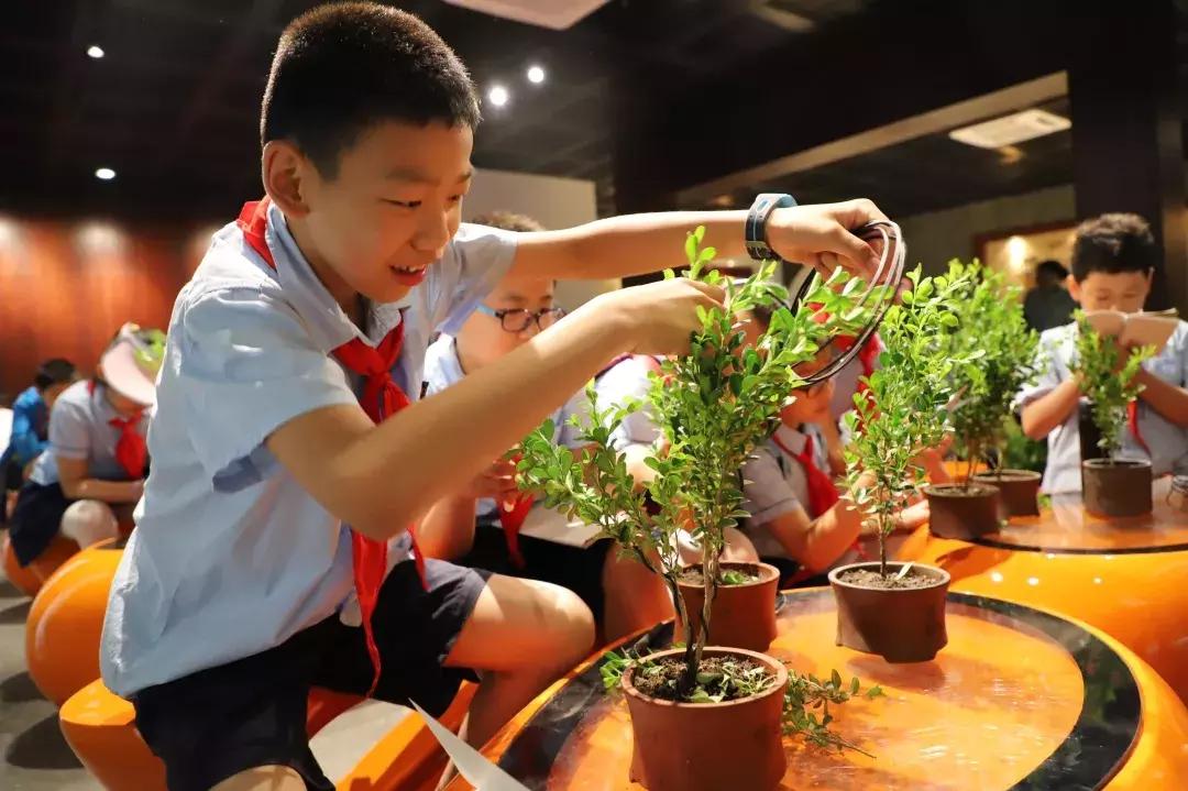 七彩夏日未成年人暑假系列活动,小学生七彩夏日暑假假期活动主题