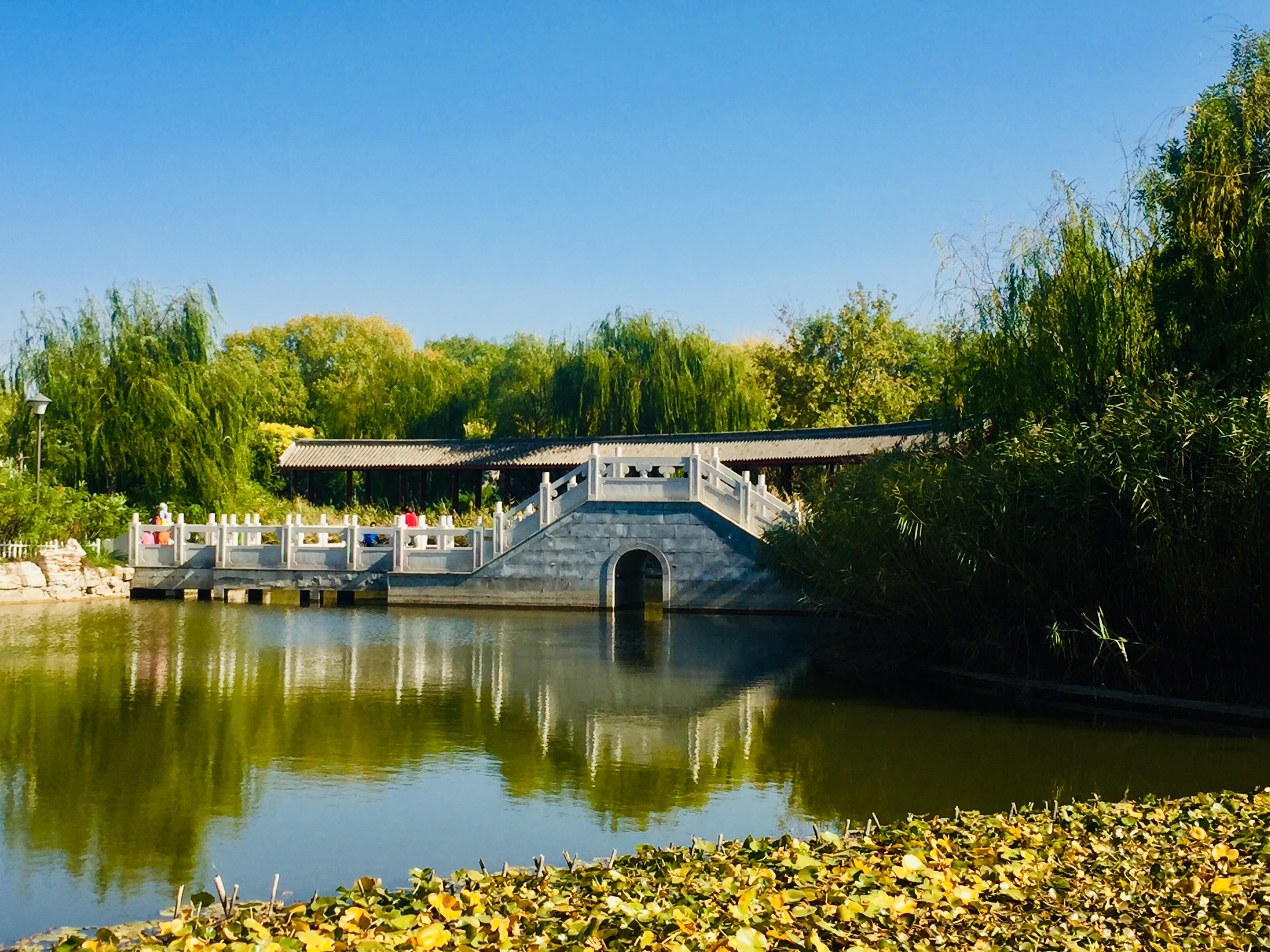 天津森林公园儿童乐园项目介绍,滨海新区适合带孩子玩的公园