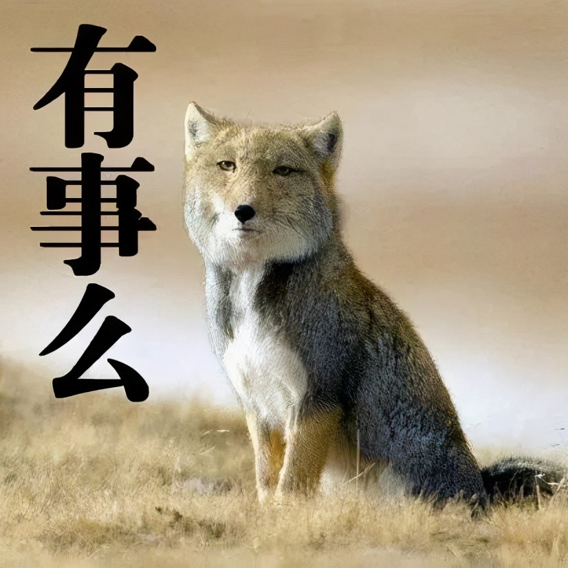 大学选地理专业高中怎么选,地理科学专业值得学吗