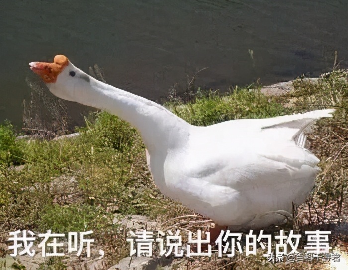 蛇怕鹅鸭粪,蛇怕鹅粪科学解释