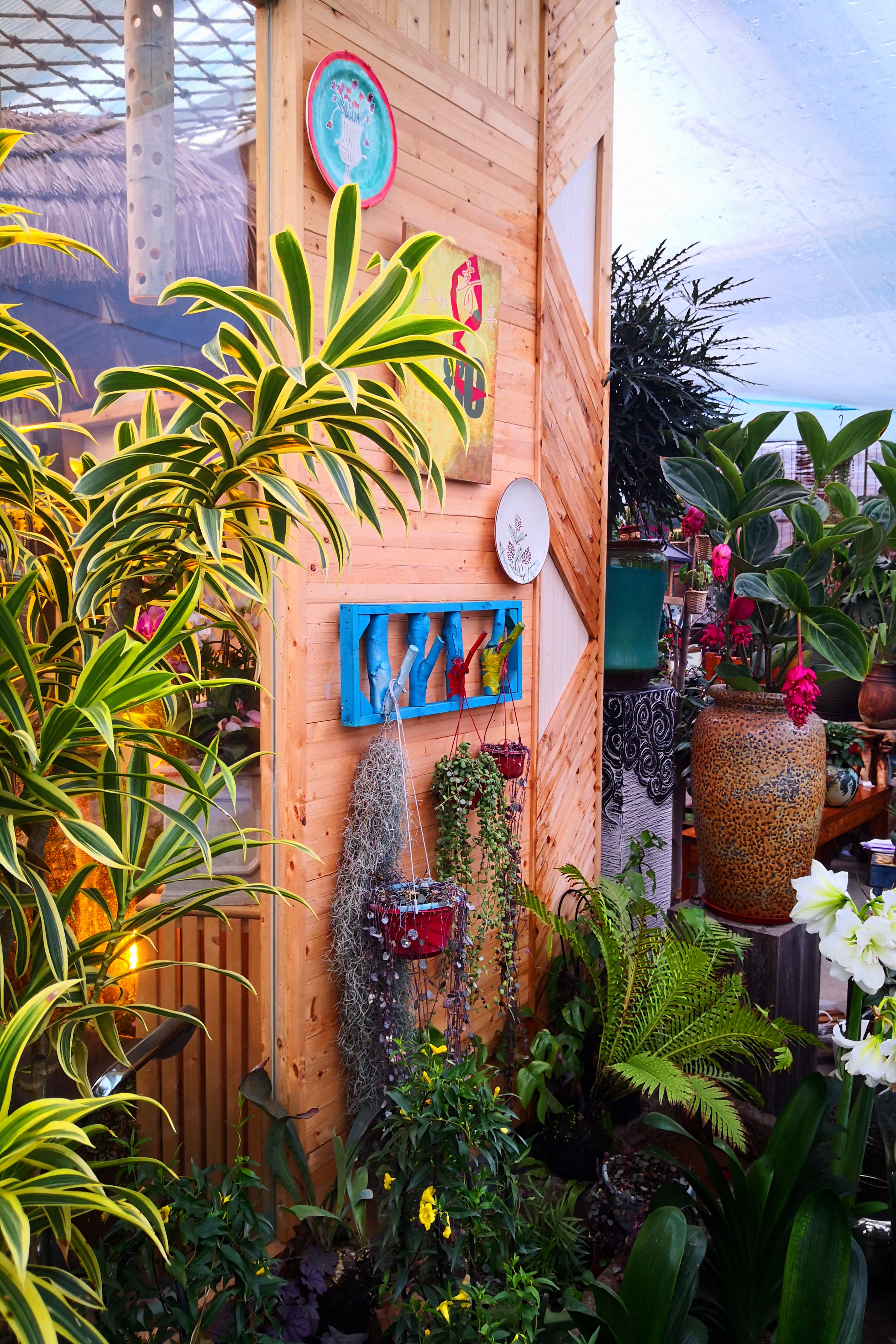 东营最大的花卉批发市场在哪里,东营地区哪里有花卉市场