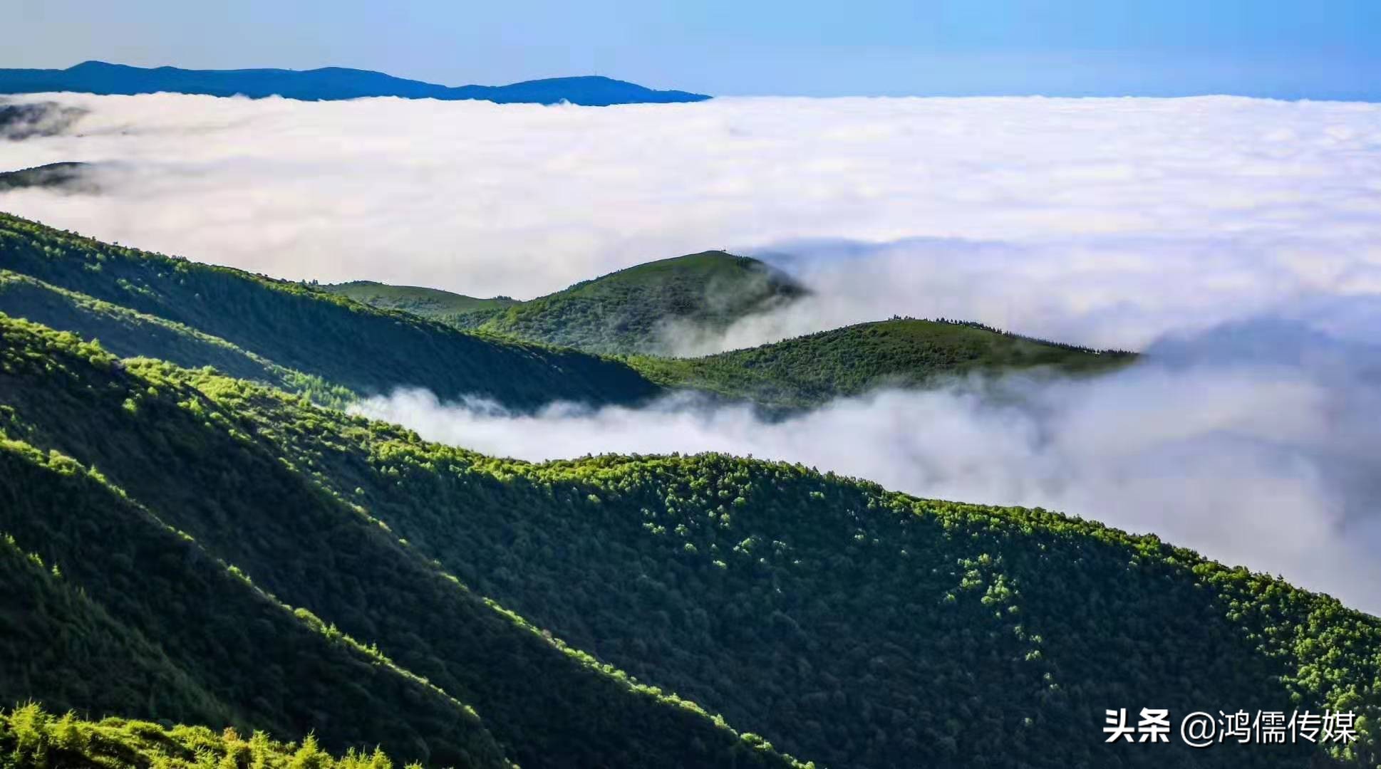 陇头水诗词,陇头水二首古诗