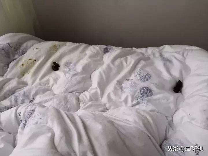 2018无法超越的境地,微信消息无法撤回