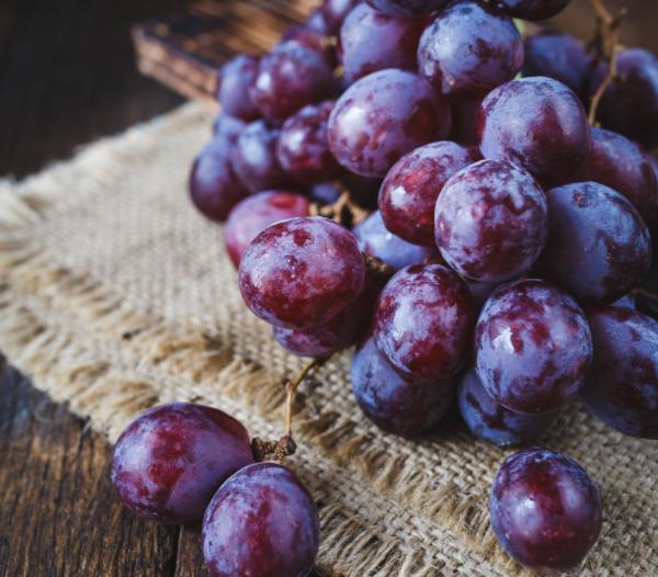 皮肤抗氧化的最好方法,我们的皮肤怎么保养