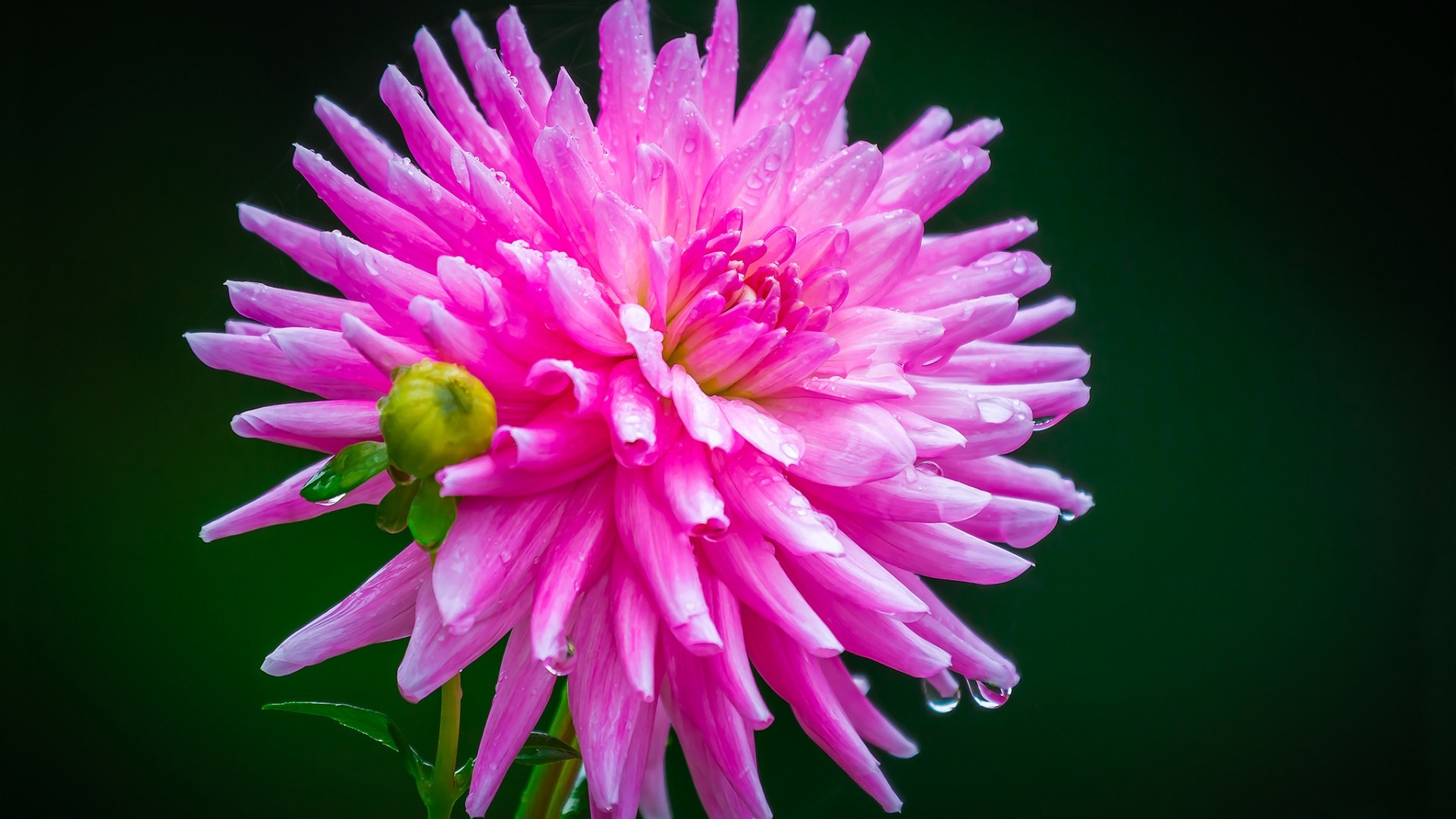 星座运势双子座2022年6月份运势,6月19日星座双子座运势