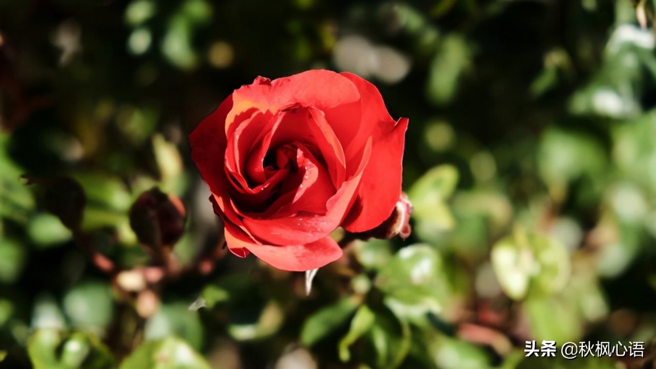 人到中年真的好累,人到了中年真的好累