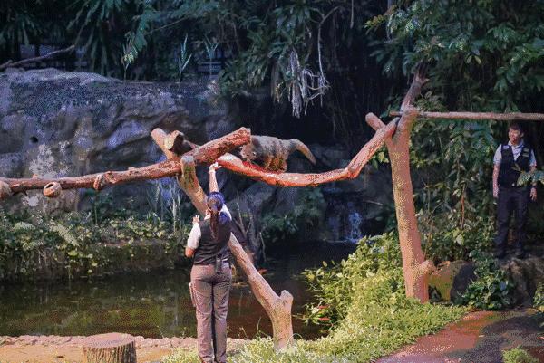 乐高世界最震撼的乐园,乐高超大型主题乐园搭建