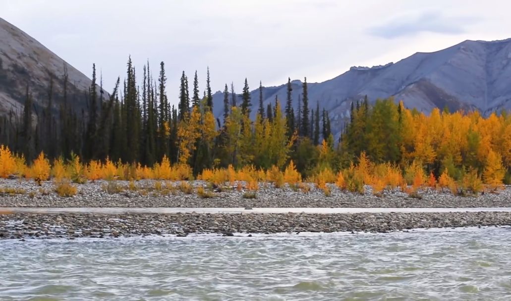 去育空，寻找这个世界的终极