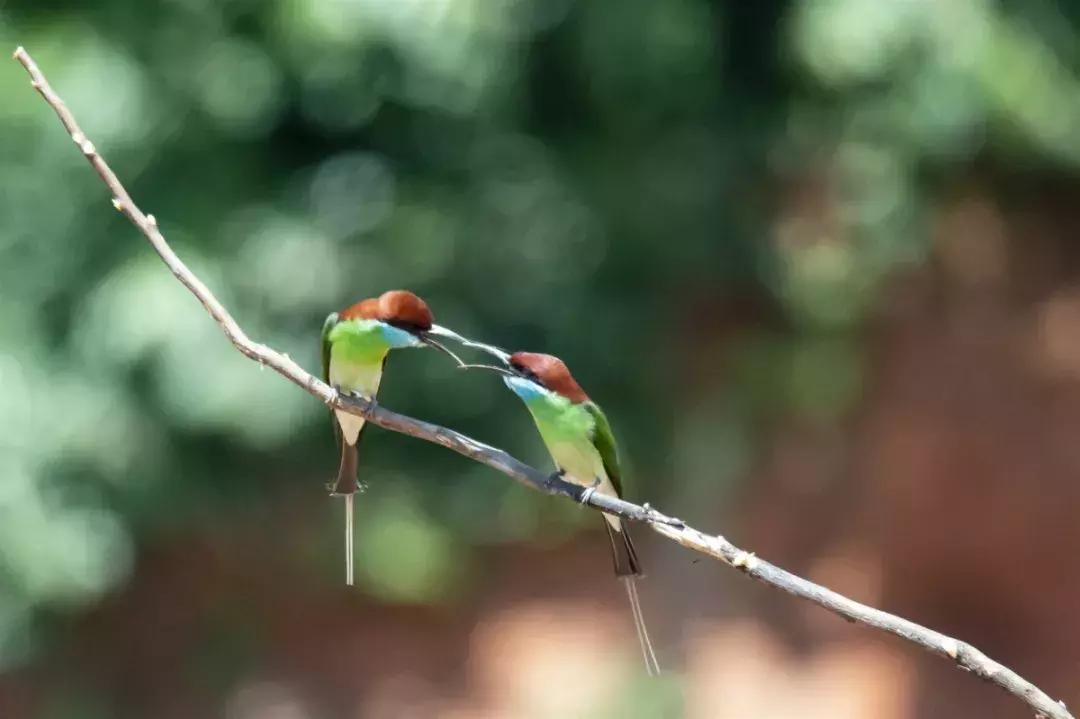 荆门哪个省的,荆门是哪儿
