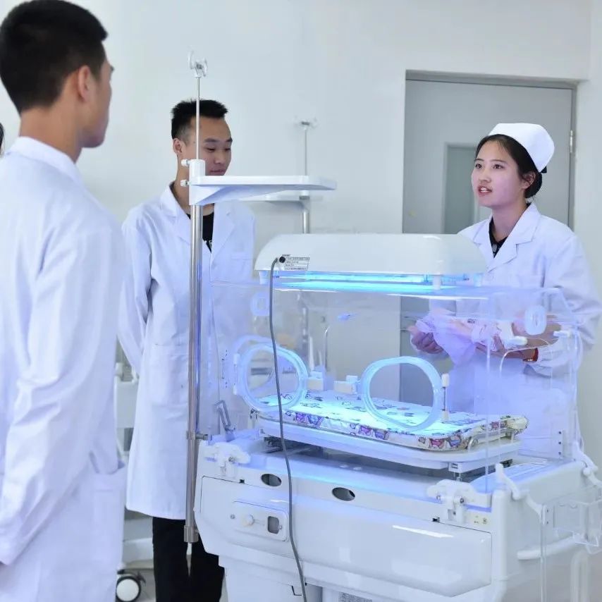 青岛黄海学院专科招生计划,青岛黄海学院单招情况