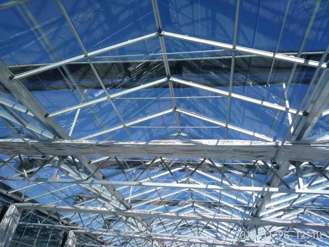 你见过高端玻璃温室大棚吗,现代农业玻璃温室大棚简介