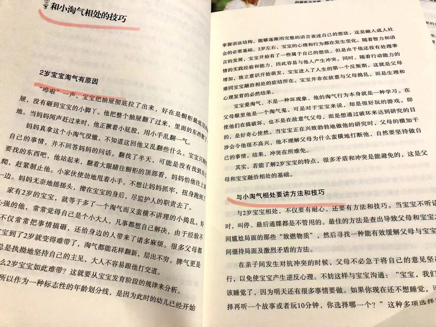 2岁孩子太淘气该如何管教,家有二宝如何教育孩子
