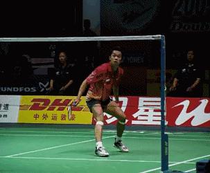 金秋诗画（学羽精华33.发力技巧）