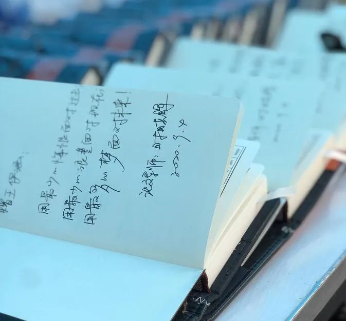 绿岛“背影”|这些瞬间,因为有你而更温暖难忘!