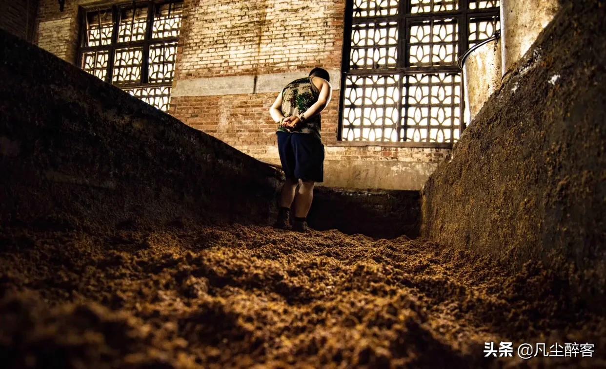 白酒要有什么标志,中国白酒香型知识大全