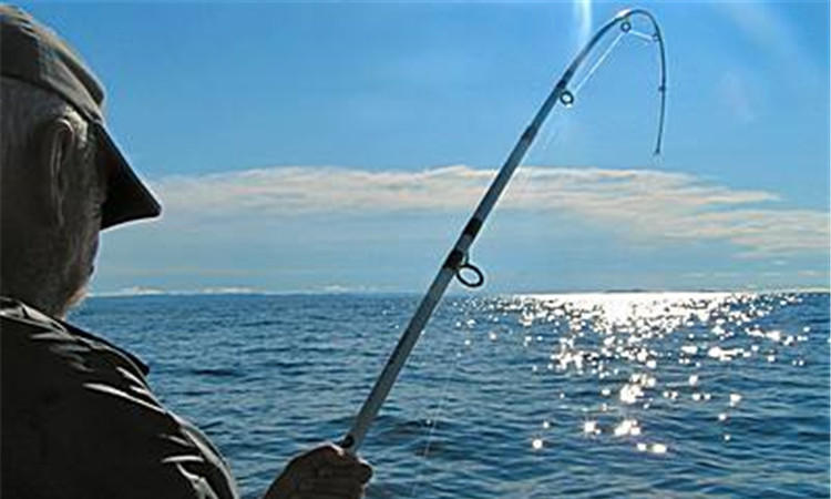 手竿钓鲢鳙7米2选择什么鱼竿,钓翘嘴9米鱼竿和10米鱼竿选择