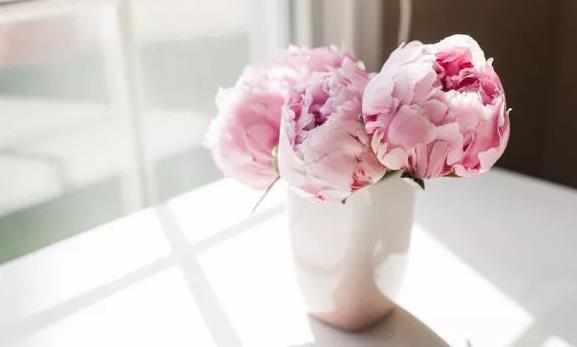 认知越浅薄的人越喜欢越显摆,为什么很多人厌恶爱显摆的人