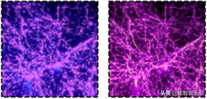 小小黏菌，大大智慧：预测星系间暗物质网络的黏菌算法