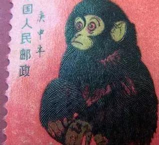 马未都8万捡漏,马未都讲猴票全集